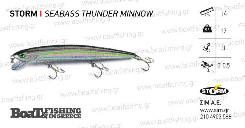 storm_seabass-thunder-minnow