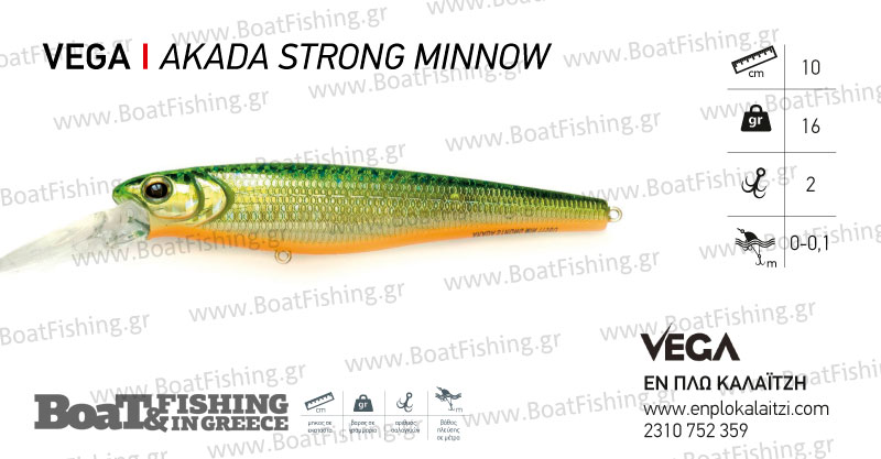 vega_akada-strong-minnow