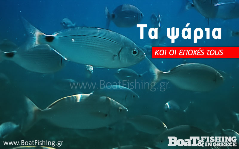 www.boatfishing.gr