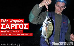 Psarema Image