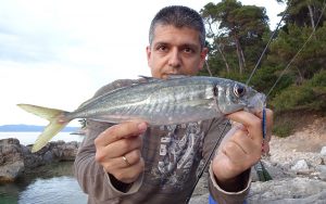 Psarema Image