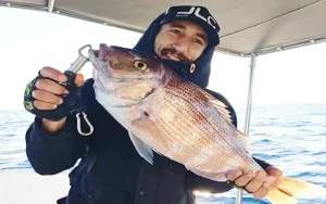 Psarema apo Skafos Image