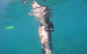 Psarema apo Skafos Image