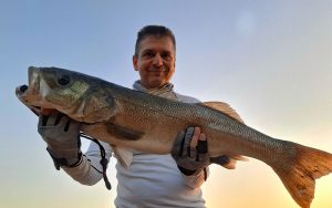 Psarema Skafos Image