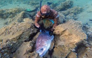 Psarema apo Skafos Image