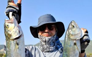 Psarema Skafos Image