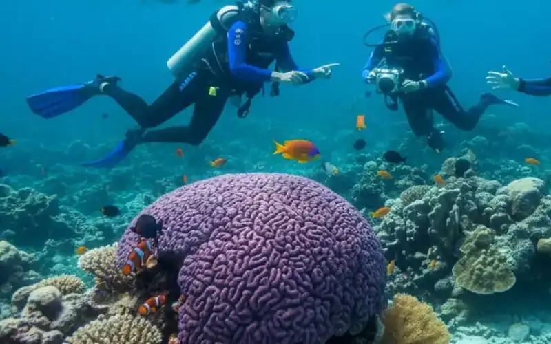 Το Ναύπλιο αποκτά το πρώτο του τεχνητό υποβρύχιο αξιοθέατο