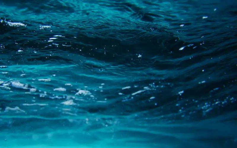 Πώς η Θάλασσα των Σαργασσών τροφοδοτεί τη Γη με οξυγόνο