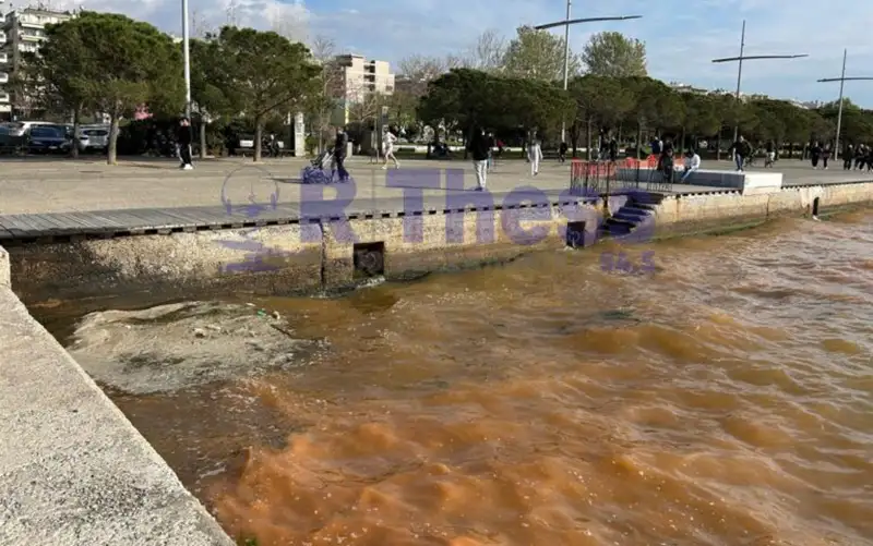 Επανεμφάνιση της ερυθράς παλίρροιας στον Θερμαϊκό