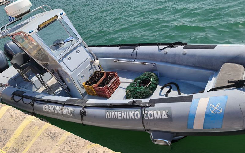 Βόλος: Πρόστιμα για παράνομη αλιεία και κατασχέσεις μετά από έλεγχο του Λιμενικού